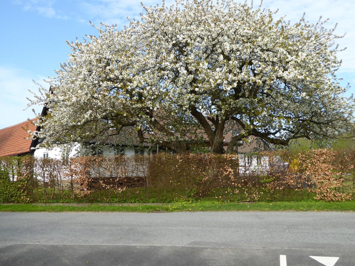 Ferienwohnung Gard Borre Exterior foto