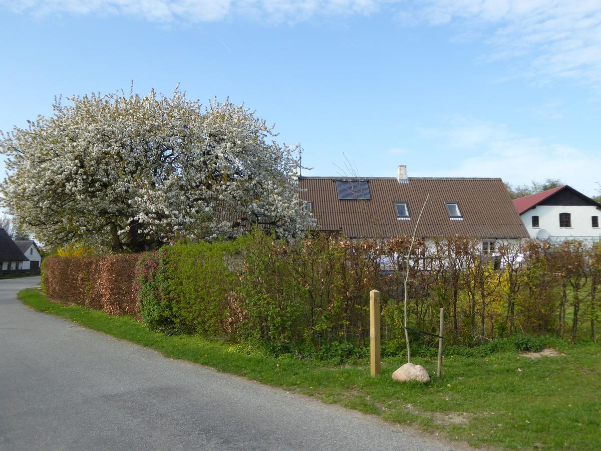 Ferienwohnung Gard Borre Exterior foto